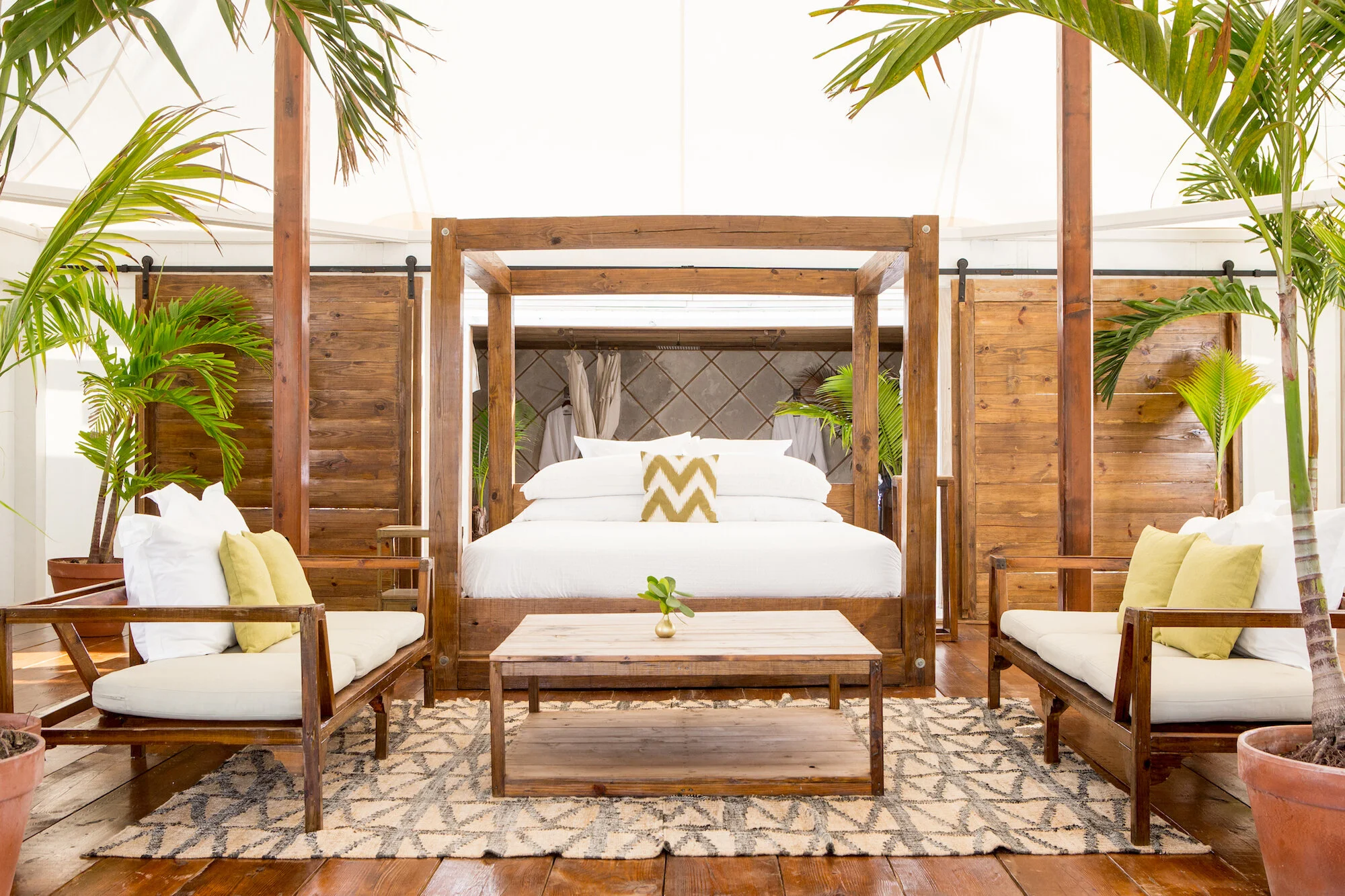 Piyush International